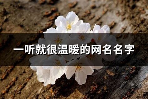 很台的名字|哪些名字一听就很台湾？